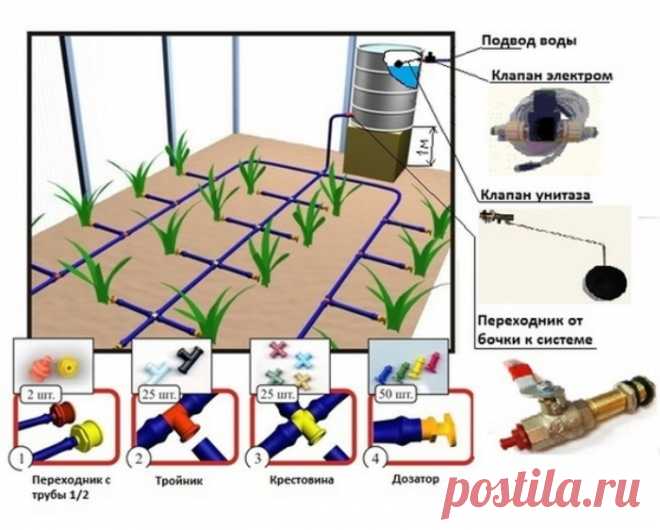 Инструкция по монтажу капельного полива в теплице своими руками