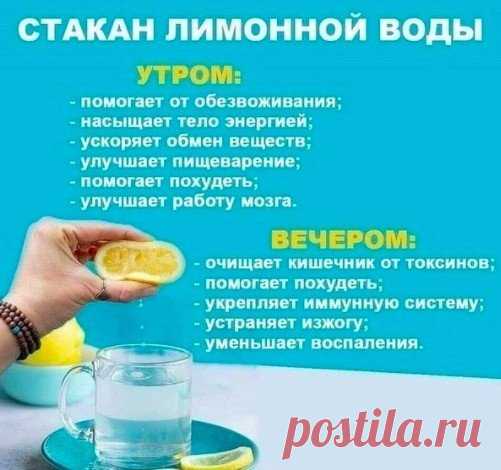 Советы хорошие, а цену лимонов сейчас вы знаете??