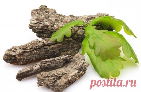 Постоянно жирные волосы: видео-инструкция по лечению своими руками, как сделать нормальными, чем скрыть на второй день, что делать чтобы меньше жирнились, борьба с жирностью локонов, витамины, бальзам, прически, фото и цена