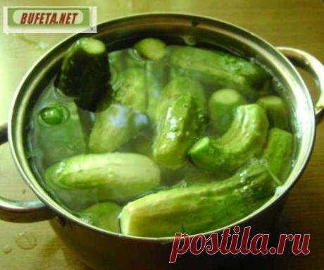 Рецепт маринованных огурцов