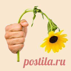 Уксус вам в помощь. — Делимся советами