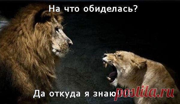 ёжик НЕ ГОЛОСУЮ!!! Надоело и есть чем заняться..что приносит доход!!!: Чтоб тебе всегда фартило! На работе, в казино! Чтобы утром не мутило И не кончилось бабло МОЁ ПОЗДРАВЛЕНИЕ НА НОВЫЙ ГОД!!!! (^)(d)\o/(music)(sun)(cash)(heart)(F)(coffee)