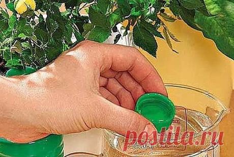 Однокласники