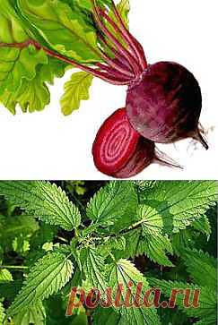 Прыщи - Лечение прыщей народными средствами