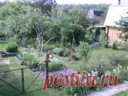 СОВЕТЫ ОГОРОДНИКАМ - Садоводка