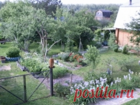СОВЕТЫ ОГОРОДНИКАМ - Садоводка