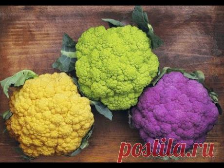 Сеем капусту на рассаду