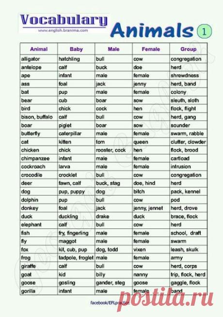 The Writer's Handbook • Posts Tagged ‘Words’