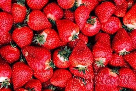 В российской клубнике обнаружили многократное превышение антибиотиков. Россельхознадзор выявил многократное превышение содержания антибиотиков в клубнике, которая выращивается в парниковых условиях, сообщил замруководителя ведомства Антон Кармазин. Речь идет о тетрациклине, этот антибиотик применяется для лечения широкого ряда заболеваний, от пневмонии до гонореи.