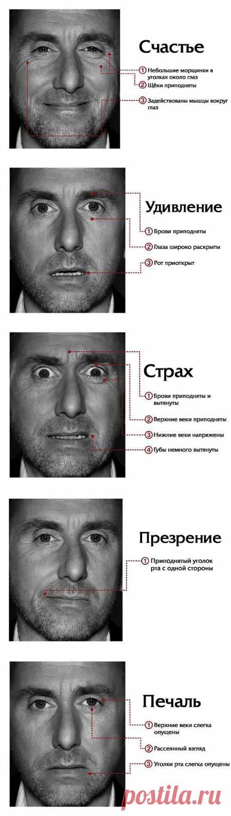 Мимика лица