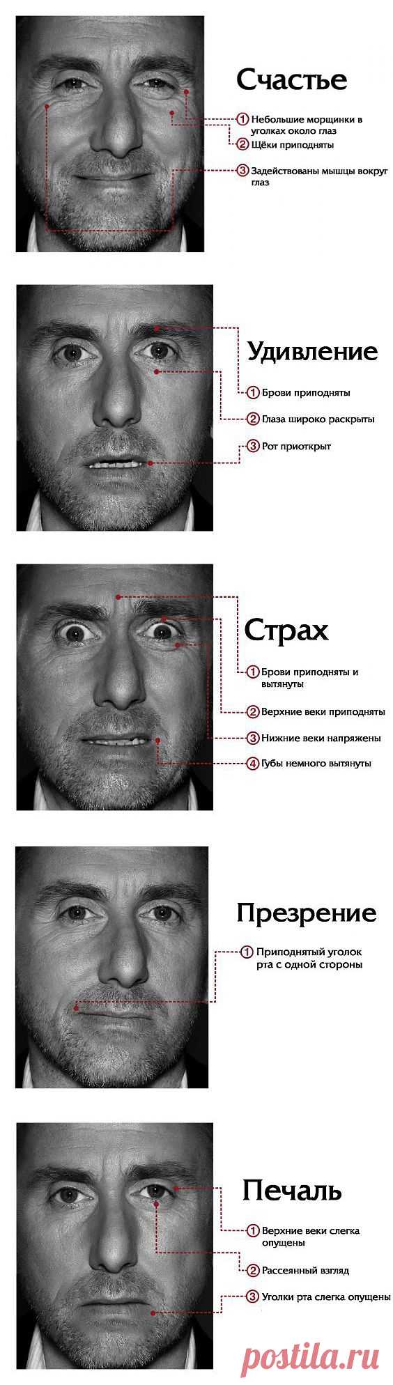 Мимика лица