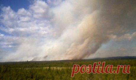 Американский штат Аляска оказался во вожара / Социальная погода