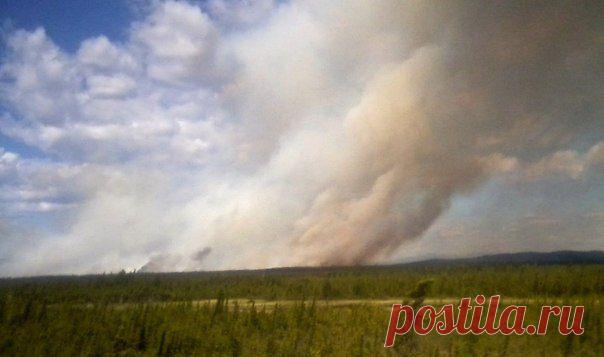 Американский штат Аляска оказался во вожара / Социальная погода