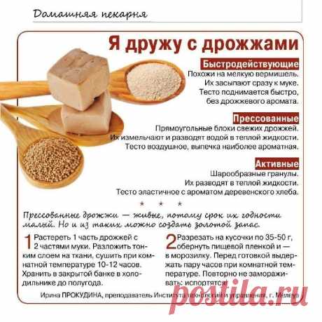 Дрожжи