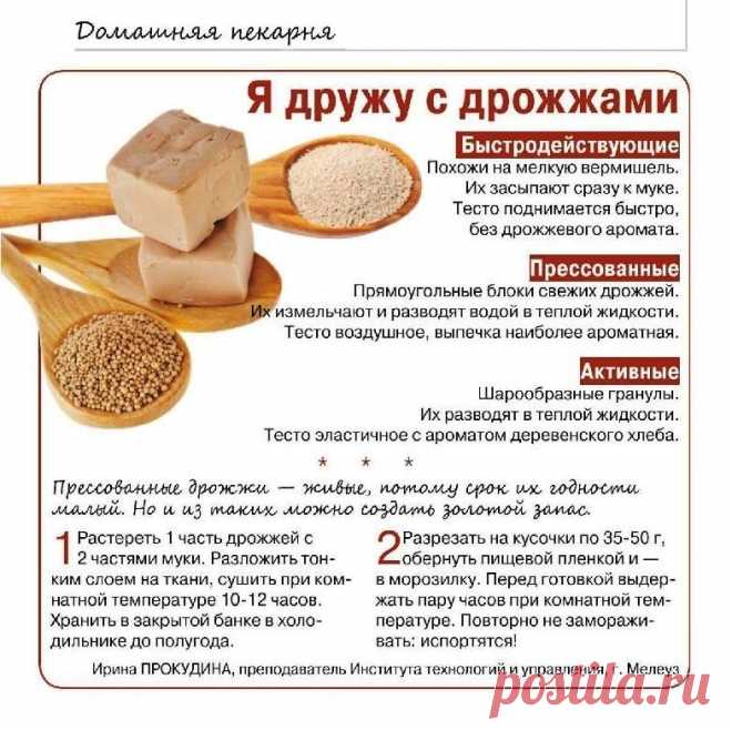 Дрожжи