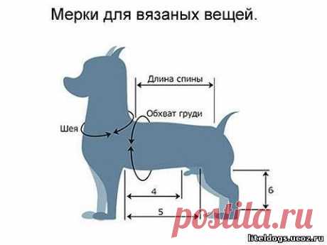 КАК СНЯТЬ МЕРКИ У СОБАКИ И У КОШКИ ДЛЯ ВЯЗАНЫХ ВЕЩЕЙ