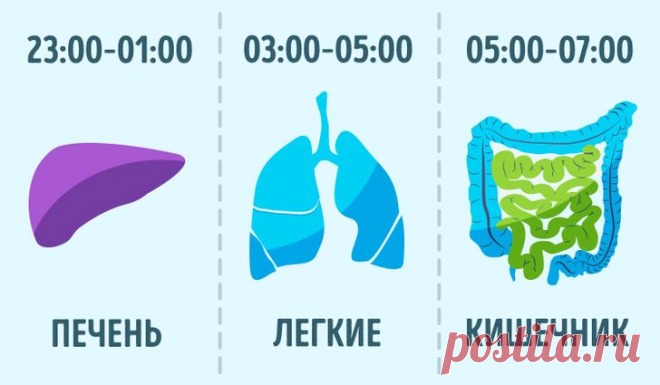 10 очень простых, но странных привычек, которые помогут прожить в 2 раза дольше