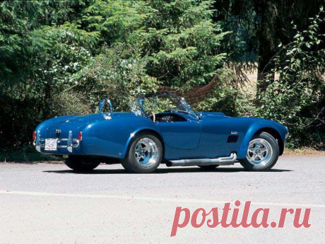 Shelbi Cobra