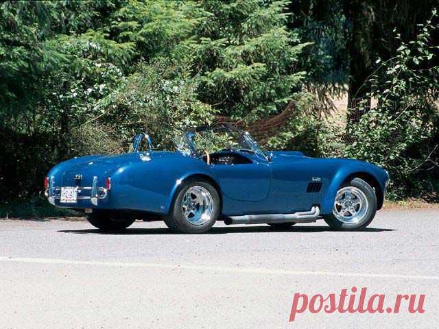 Shelbi Cobra