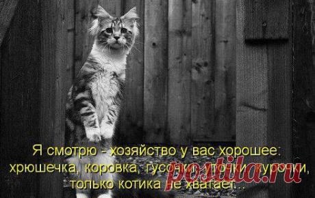 Корректирующий бюстгальтер без швов Ах Бра. Легкий и комфортный, модель поддерживает грудь. Цена 997 руб. за 3 бюстгальтера! Доставка по РФ, оплата при получении. Подробности по ссылке ➜ https://ad.leadspartner.ru/SH3N

А у Вас есть кошка?
3 140

Да
796

Нет
