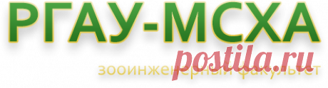 Каштан настоящий, съедобный, сладкий