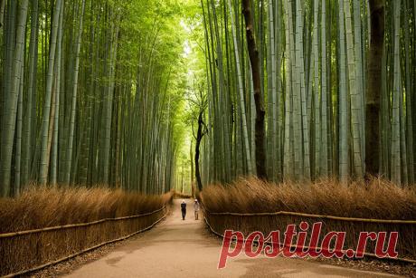 Восхитительная Япония Япония – это неповторимое сплетение всевозможных ценностей старины, почитаемых столетних святая святых и современных технологий. Жители страны восходящего солнца с трепетом относятся к своему пошлому, при этом, не собираются останавливаться и оглядываться назад, они шагают навстречу будущей...