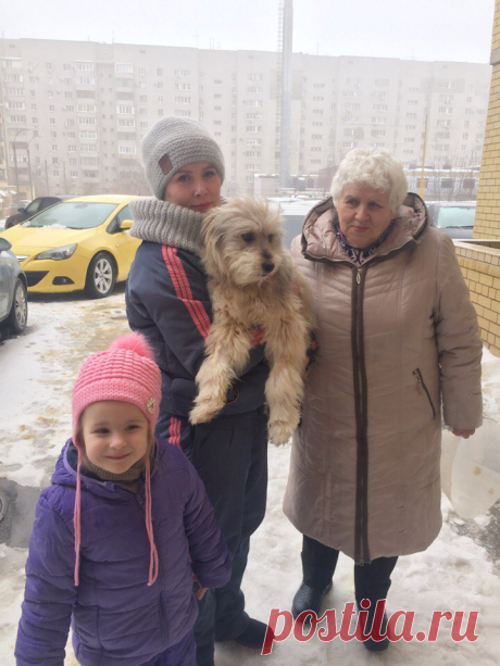 Лохматый пес неделю пролежал неподвижно в холодной луже!