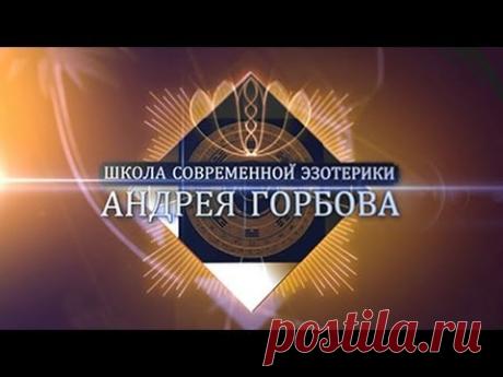ПРАКТИКУЕМ ВМЕСТЕ (ОТКРЫТАЯ ВСТРЕЧА) ТРАНСЛЯЦИЯ 3