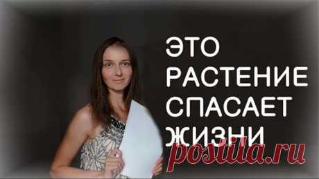 ОНКОЛОГИЯ ПОДДАЕТСЯ ЛЕЧЕНИЮ ПРОСТЫМ СРЕДСТВОМ (опыт врача)