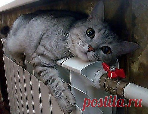 Когда, блин, закончатся эти морозы!