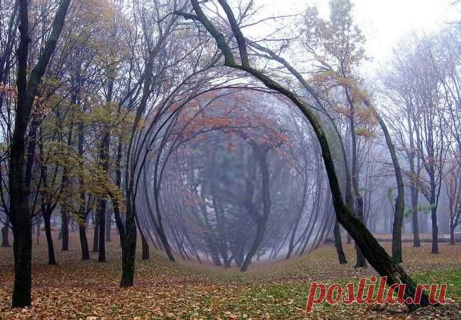 Аномалии – непонятное рядом
