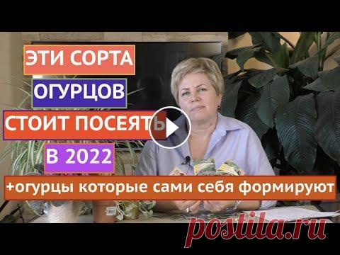 НЕ ПРОПУСТИТЕ ЭТИ СОРТА ОГУРЦОВ! ПРЯМОЙ ЭФИР ПО ОГУРЦАМ! Я рада всех приветствовать на канале Садовый Гид! Пришло время обещанных роликов о сортах овощей, которые были озвучены в прямых эфирах в нашем Инстаг...