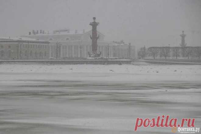 Снегопад в Петербурге прекратился - 12 января 2025 - ФОНТАНКА.ру