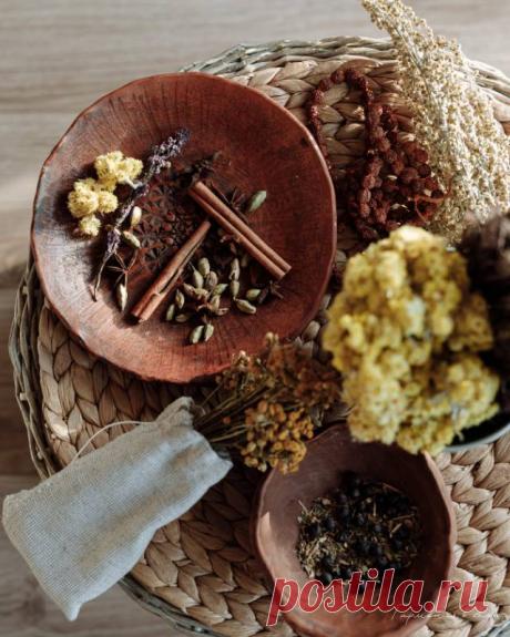Природа вместо таблеток и уколов: какие целебные растения можно заготовить на зиму — Психология