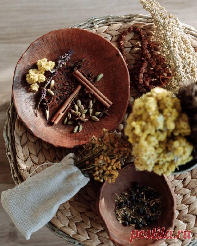 Природа вместо таблеток и уколов: какие целебные растения можно заготовить на зиму — Психология