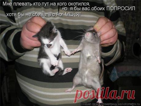 ❃ ПРИКОЛЬЧИКИ ❃
людмила майснер