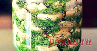 Малосольные шампиньоны на быструю руку — отличный рецептик! - appetitno.net Рецепт просто сногсшибательный! Все наши гости говорят, что магазинные маринованные шампиньоны просто «отдыхают»! Хотите порадовать и удивить гостей чем-то необычным и вкусным! Вы готовили малосольные шампиньоны? Нет?! Начну с совета: грибы лучше покупать мелкие, т.к. они будут аппетитнее смотреться в блюде! Крупные грибы рекомендуется разрезать на 2-3 части по вертикали, чтобы на срезе была форма ...