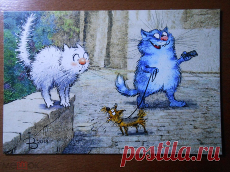 Голубые коты Ирины Зенюк - 61 фото - картинки: смотреть онлайн