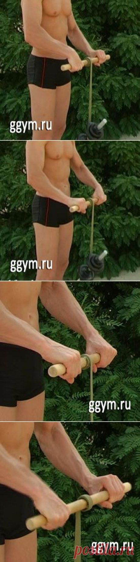 Тренировка предплечий с роллером