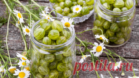 5 рецептов варенья от русских классиков