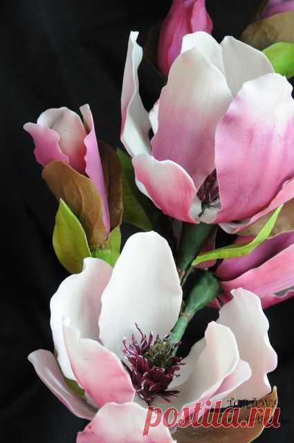 Gumpaste Magnolia Учебник - CakesDecor