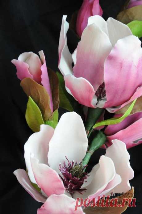 Gumpaste Magnolia Учебник - CakesDecor