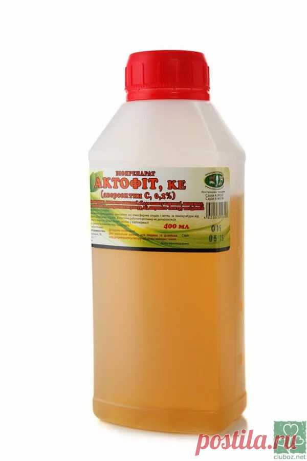 Актофит – инструкция по применению АктАктофитофит - инсектицид, препарат биологического происхождения для уничтожения вредителей сельскохозяйственных культур и декоративных растений открытого и закрытого грунта: колорадского жука, тли, клещей, трипса, капустной белянки, совки, растительноядных и многих других...