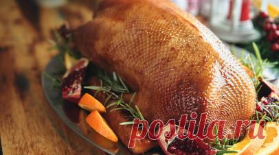 Специалист Лялина посоветовала заменить мясо утки на гусятину. И. о. декана факультета естественных наук Государственного университета просвещения Ирина Лялина рекомендовала заменить мясо утки на гусятину в новогодние праздники. Читать далее