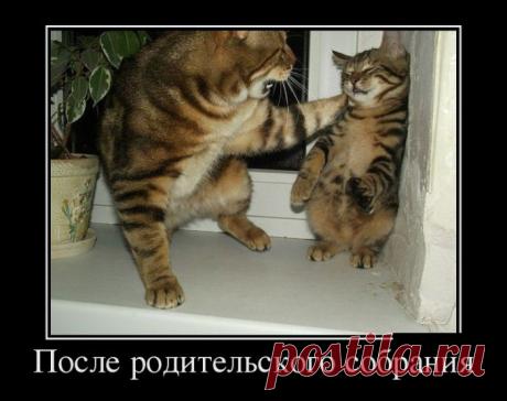 Везде обман (30 фото)