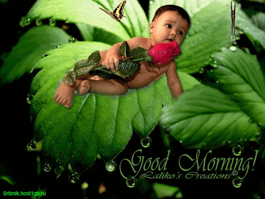 ЖИВЫЕ ФОТОГРАФИИ. AMAZING GIF – Google+