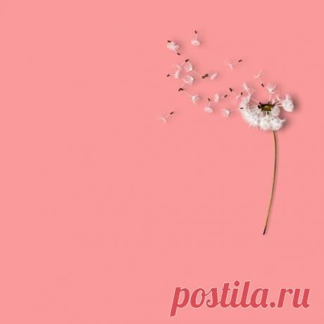 Простые истины.

1. Верни все вещи, которые взял у других.
2. Делай больше, чем от тебя ожидают.
3. Хвали людей на глазах. Критикуй человека наедине с ним.
4. Крепко держи в узде свой характер.
5. Давай людям второй шанс, но не третий.
6. Не ожидай, что другие будут прислушиваться к твоим советам или игнорировать твой пример.
7. Не ожидай, что деньги принесут тебе счастье.
8. Измеряй свой успех той мерой, которой ты наслаждаешься спокойствием, здоровьем и любовью.
9. Если ...