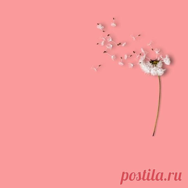 Простые истины.

1. Верни все вещи, которые взял у других.
2. Делай больше, чем от тебя ожидают.
3. Хвали людей на глазах. Критикуй человека наедине с ним.
4. Крепко держи в узде свой характер.
5. Давай людям второй шанс, но не третий.
6. Не ожидай, что другие будут прислушиваться к твоим советам или игнорировать твой пример.
7. Не ожидай, что деньги принесут тебе счастье.
8. Измеряй свой успех той мерой, которой ты наслаждаешься спокойствием, здоровьем и любовью.
9. Если ...