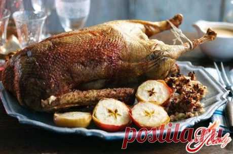 Как приготовить гуся с яблоками: рецепты