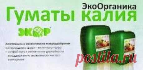 Биостимуляторы для растений | Дача Галины